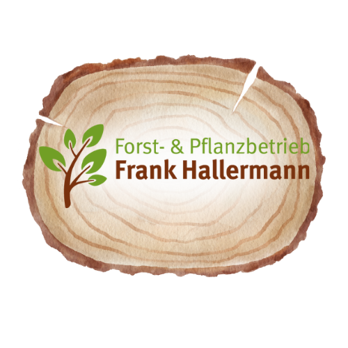 logo-baum
